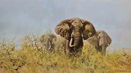 david shepherd three happy jumboselephants, signed print