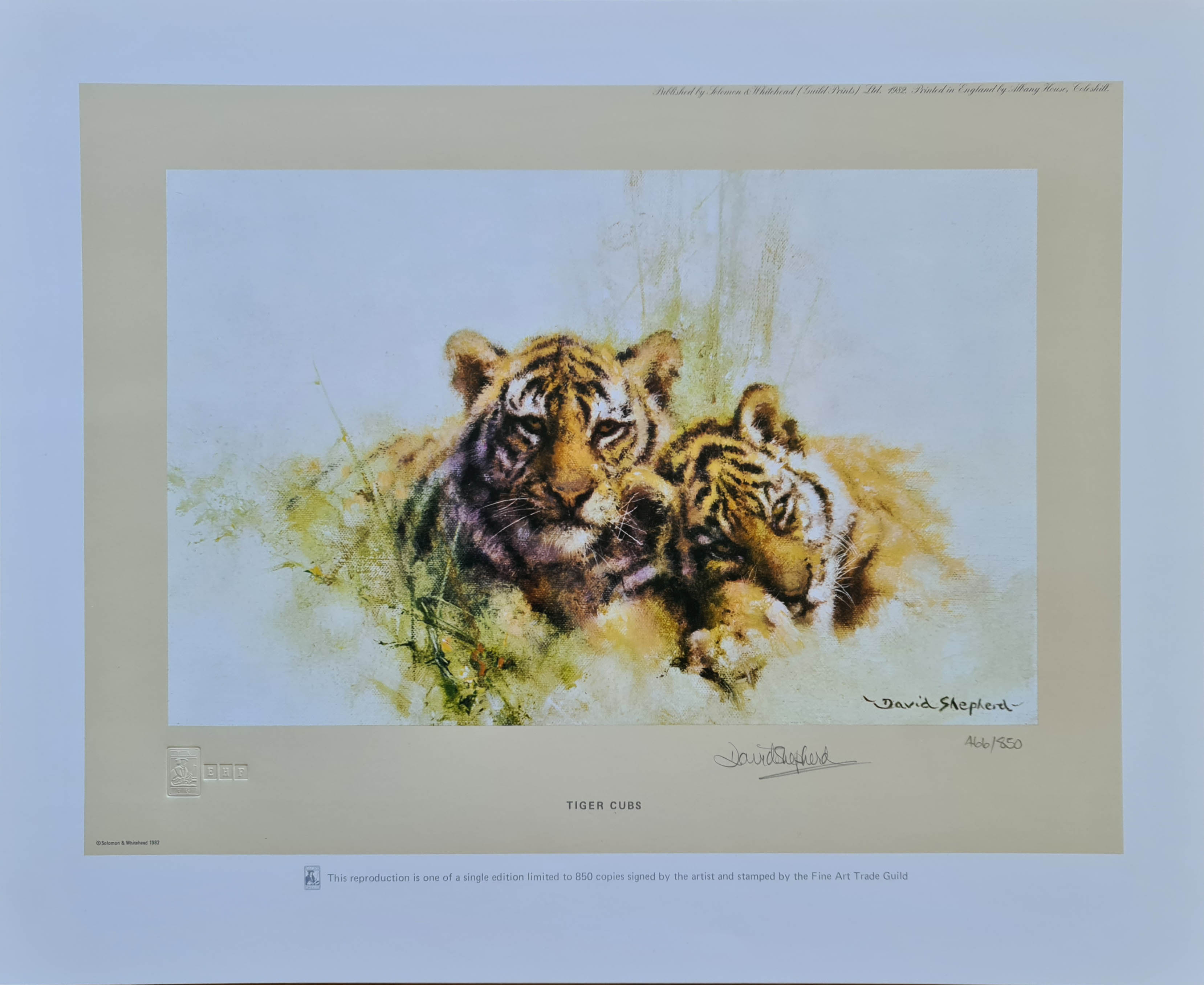davidshepherd tiger cubs