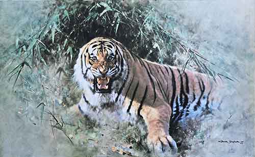 david shepherd Tiger fire print