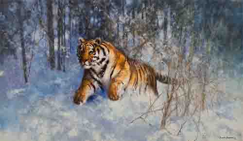 david shepherd, tigers