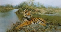 david shepherd tiger in the sun print