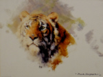 david shepherd tiger head 1983 print