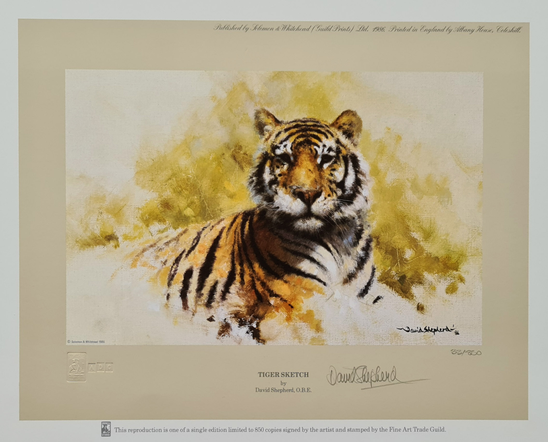 david shepherd, tiger sketch 1986