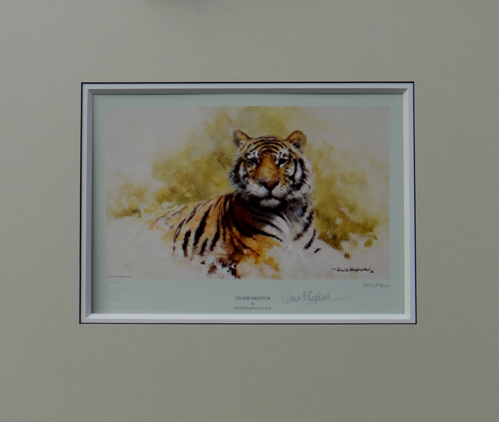 david shepherd, tiger sketch 1986