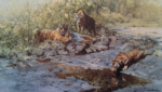 david shepherd, Tigers of Bandhavgarh, print