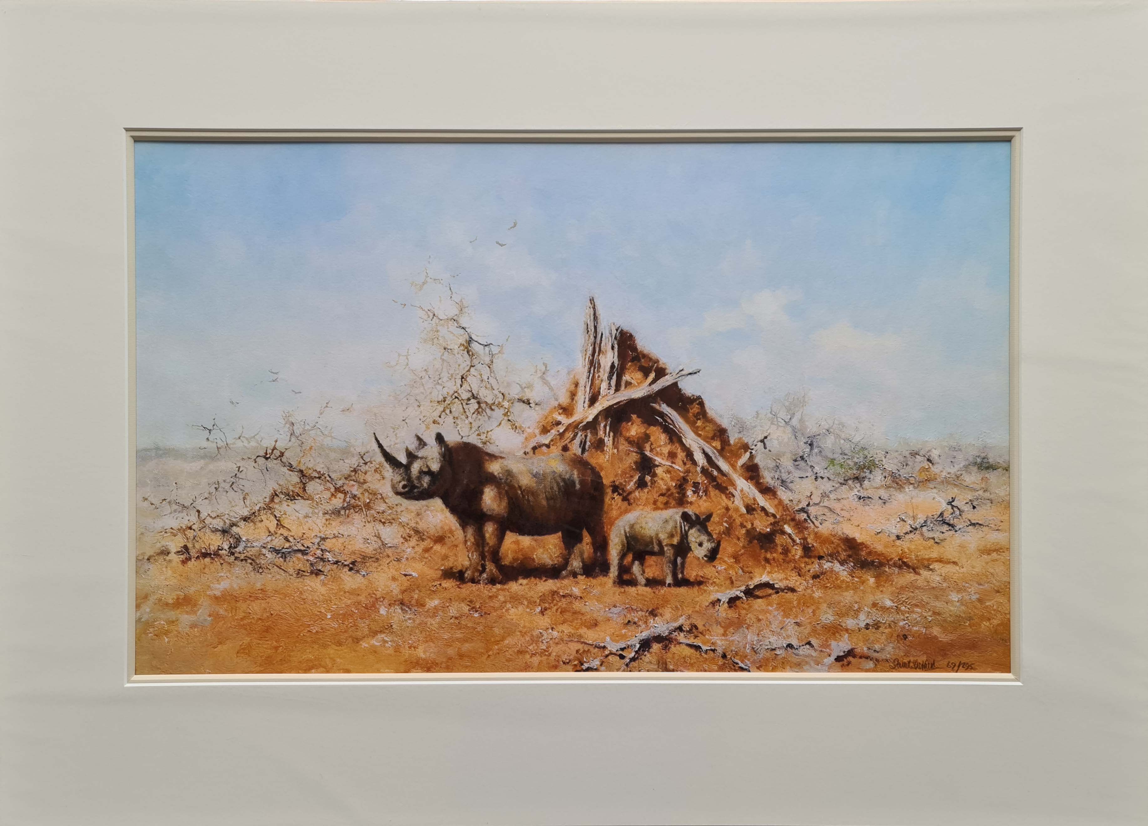 tsavo rhino david shepherd