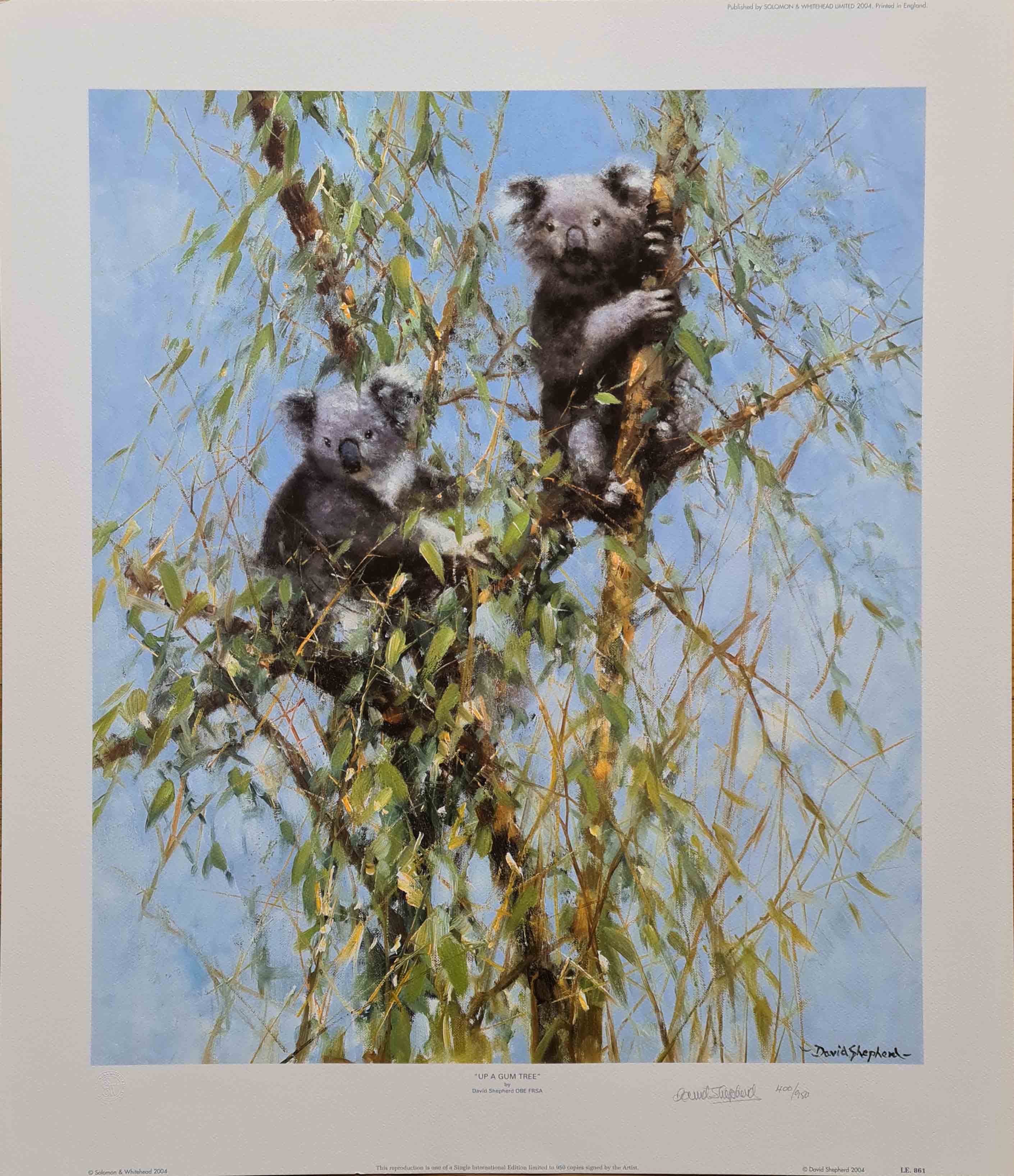 davidshepherd up a gum tree