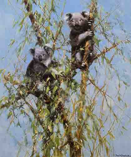 david shepherd, Up a Gum Tree, koala