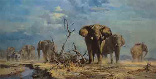 david shepherd, The Welcome Storm elephants print