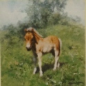 david shepherd Horses print
