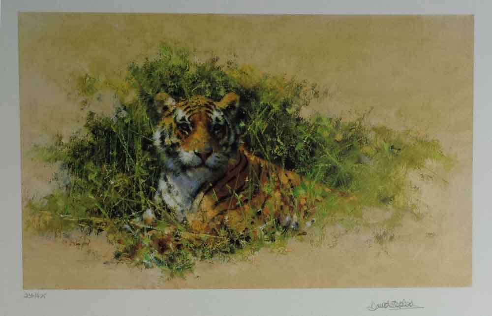 david shepherd wildlife of the world Bengal Tiger, portfolio