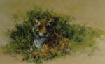 david shepherd Bengal Tiger print