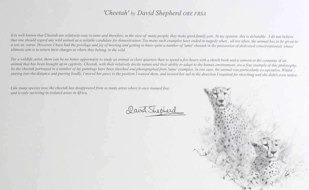 david shepherd wildlife of the world Cheetah