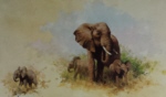 david shepherd elephant and babies prints