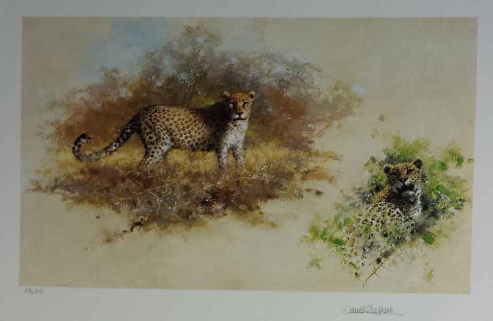 david shepherd wildlife of the world Leopards, portfolio