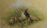 david shepherd Lioness and Cubs print