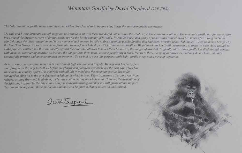 david shepherd wildlife of the world mountain gorilla, text