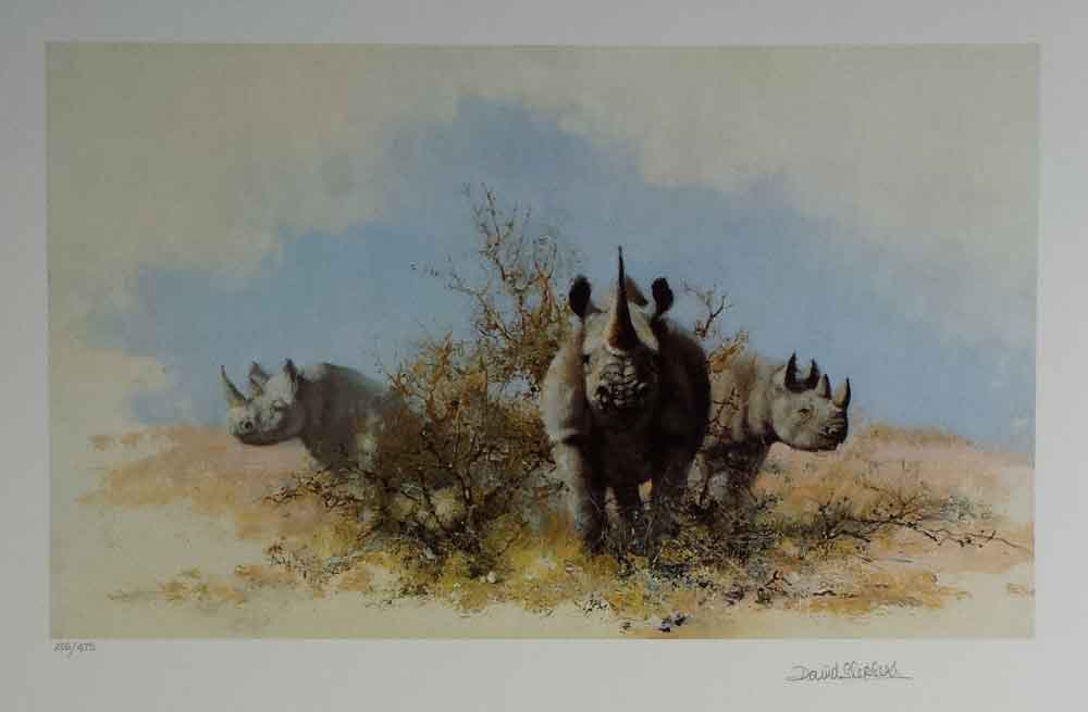 david shepherd wildlife of the world Rhino, portfolio