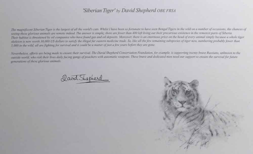 david shepherd wildlife of the world Siberian Tiger, text