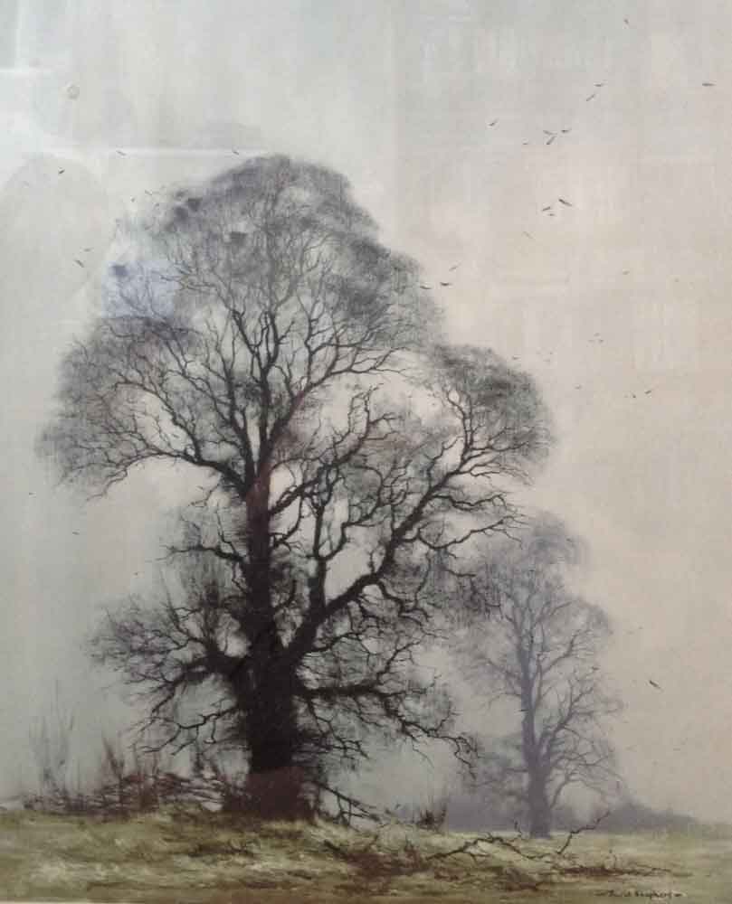 David Shepherd, winter elms,  print
