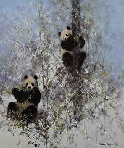 david shepherd, winter in Wolong, pandas, print