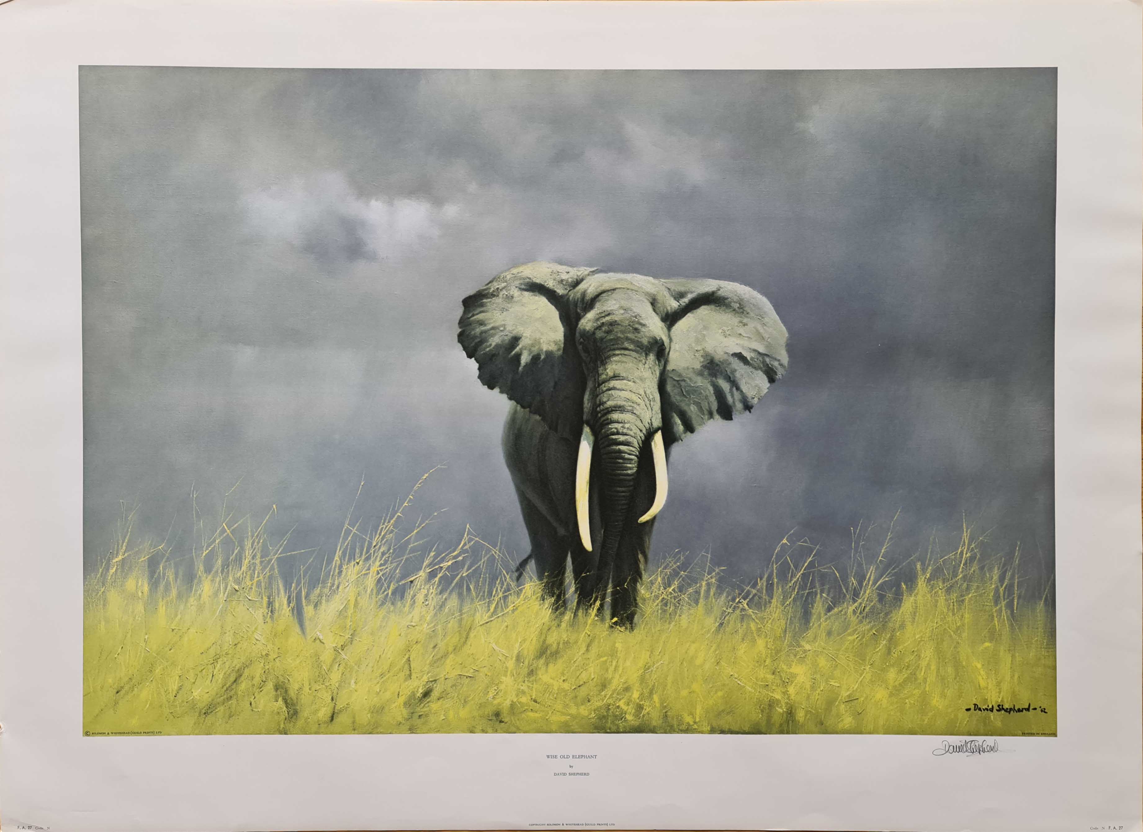 david shepherd  wise old elephant print