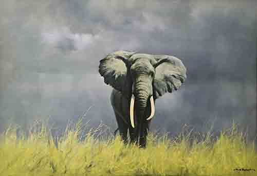 david shepherd wise old elephant