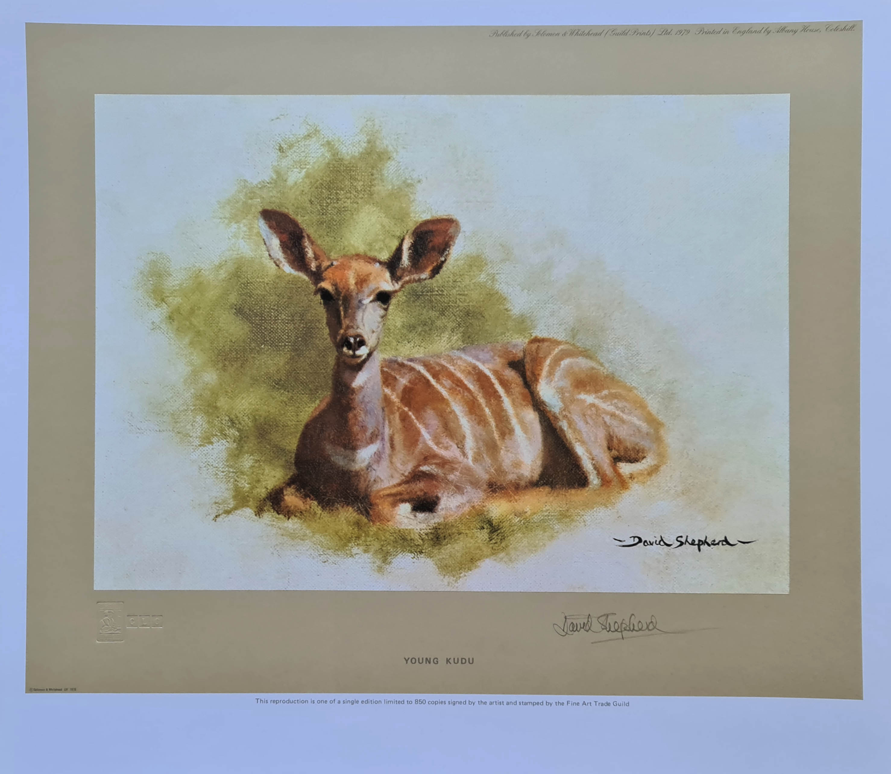 david shepherd, young kudu