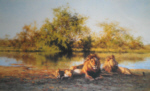 david shepherd zambezi waterhole