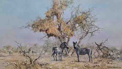 david shepherd, Zebras and Colony weavers, signed print