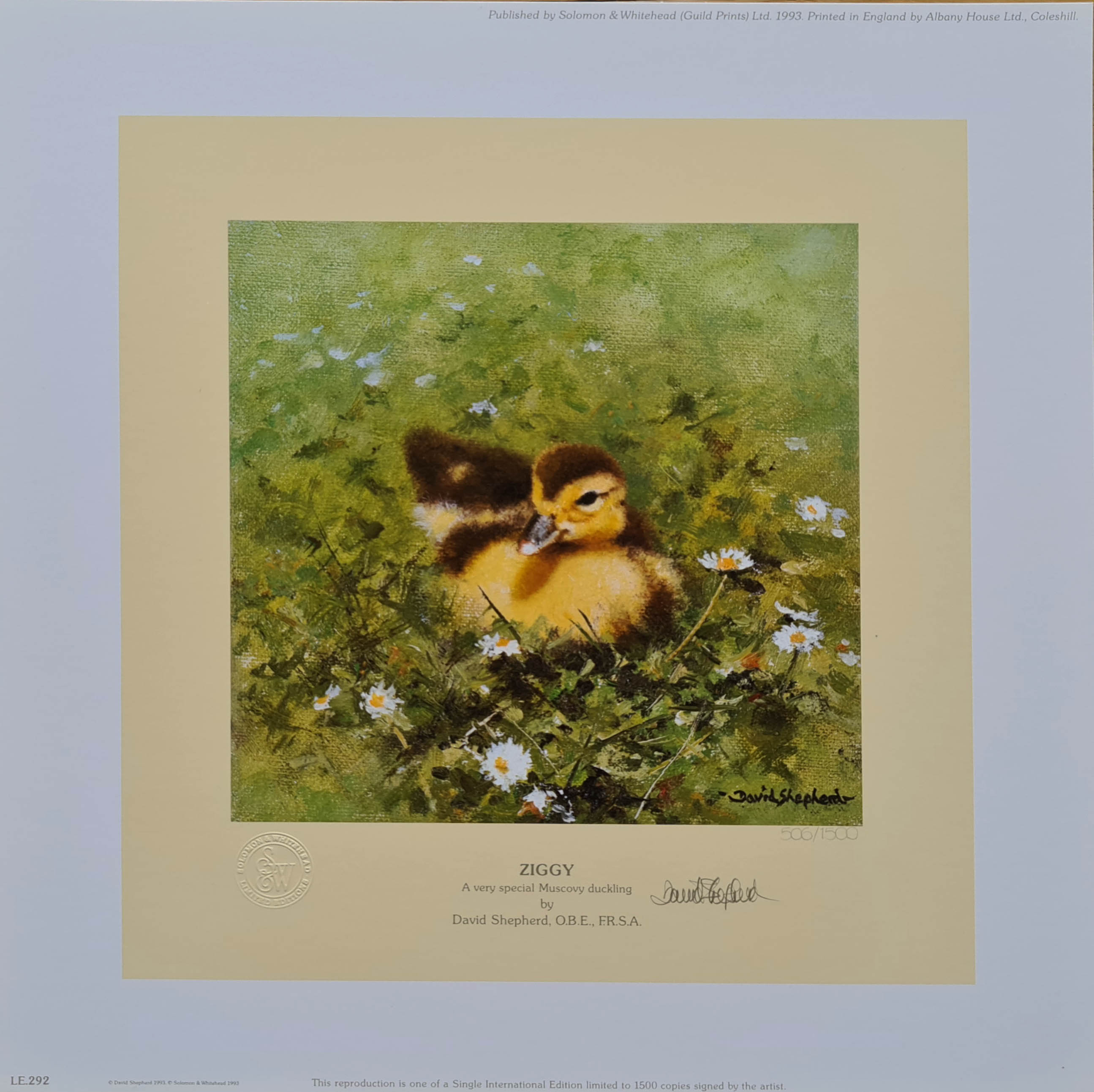 shepherd ziggy, duckling print