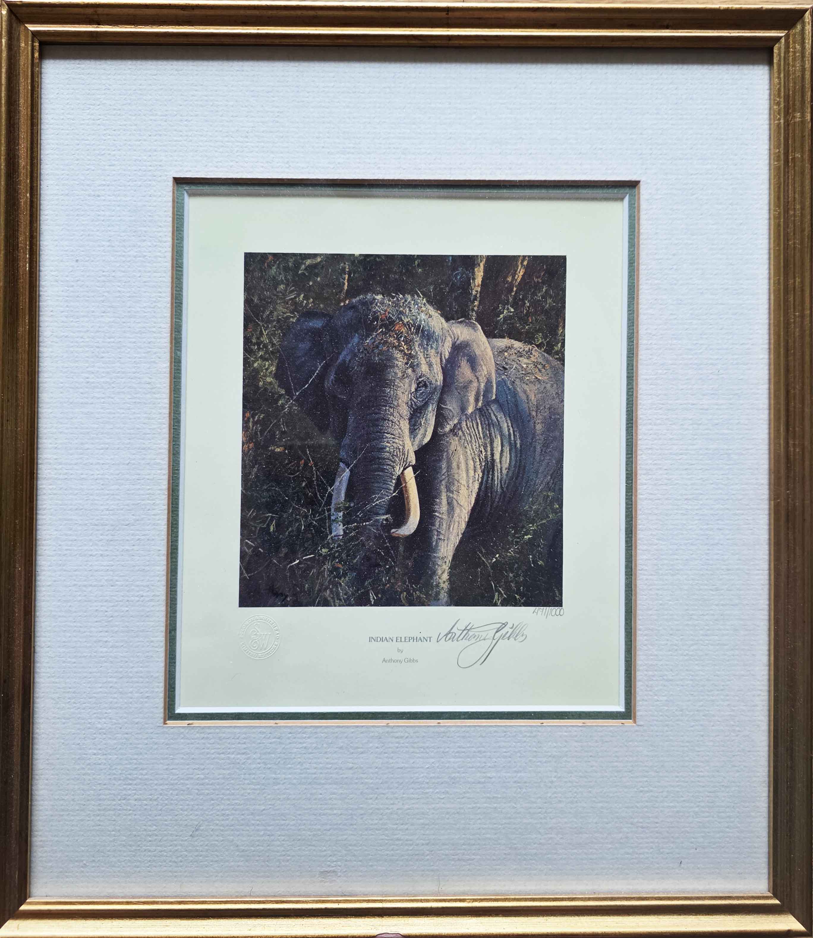 Anthony Gibbs, signed limited edition print