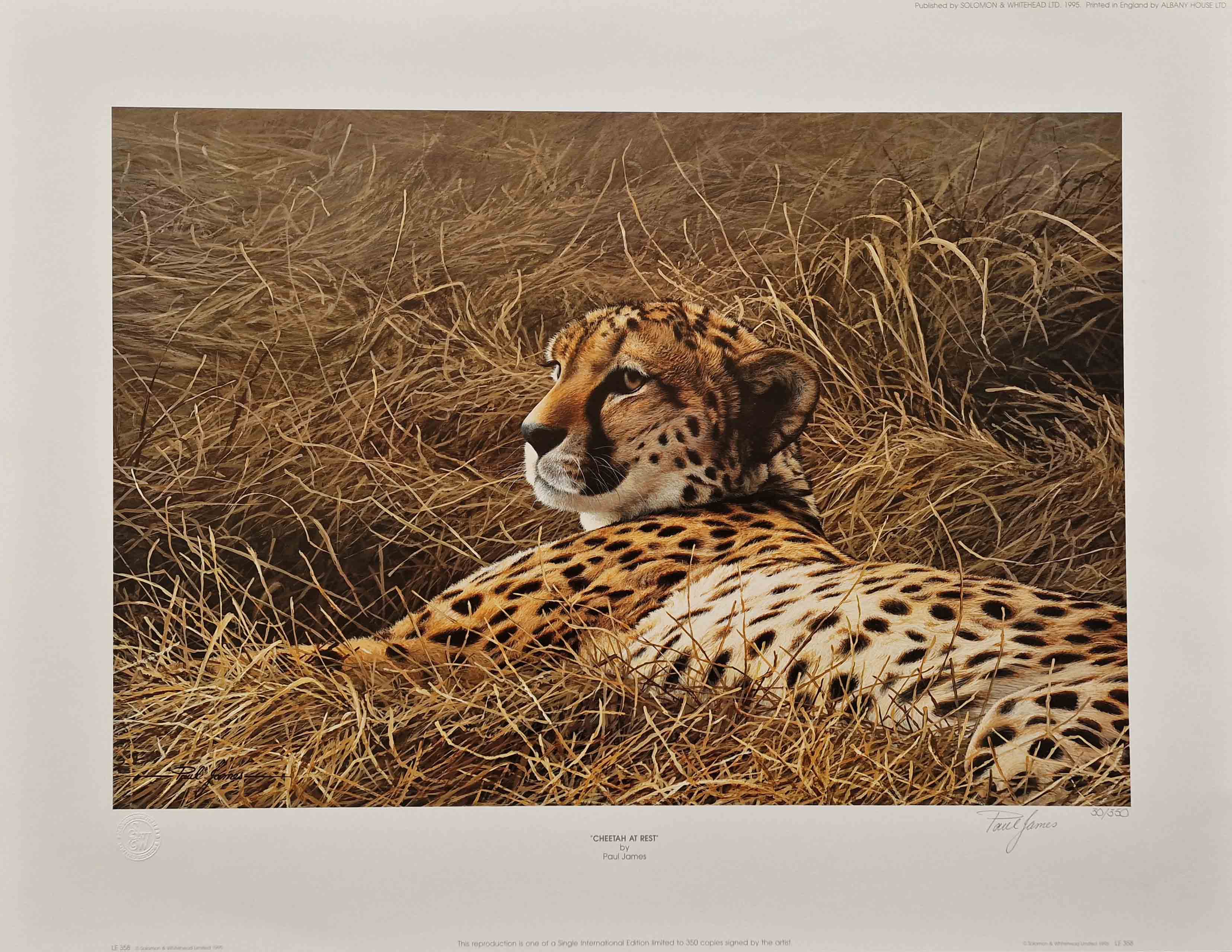 signed limited edition print, john weiss, cuddle time