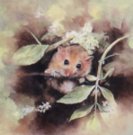 mandy shepherd dormouse print