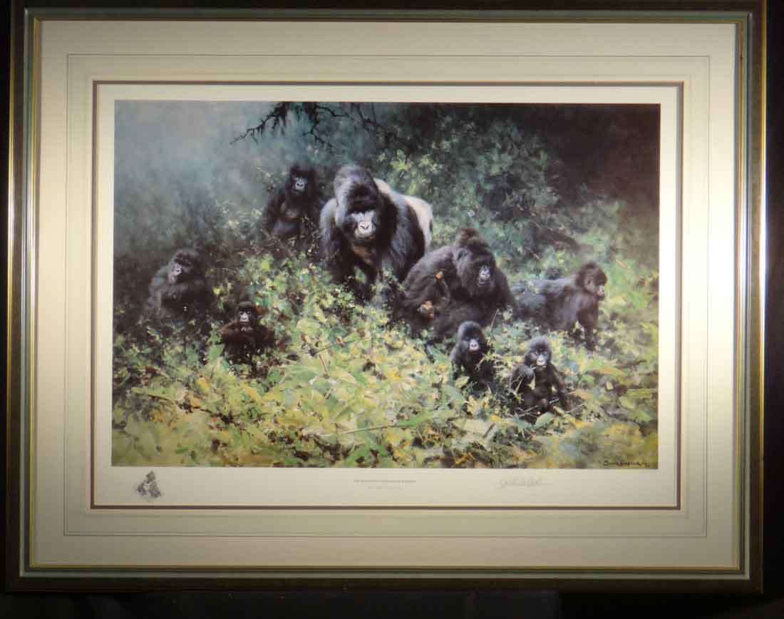 david shepherd mountain gorillas of rwanda, framed