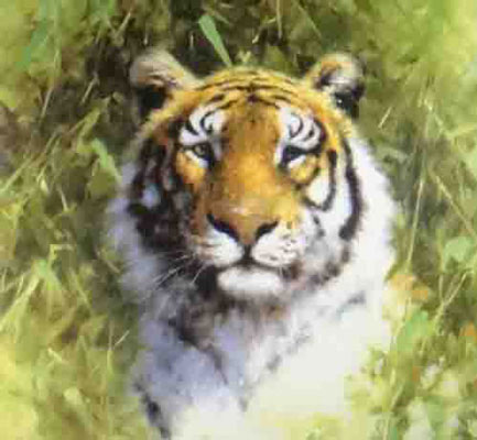 David Shepherd, limited edition print, Tigers