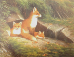 foxes, signed limited edition, print